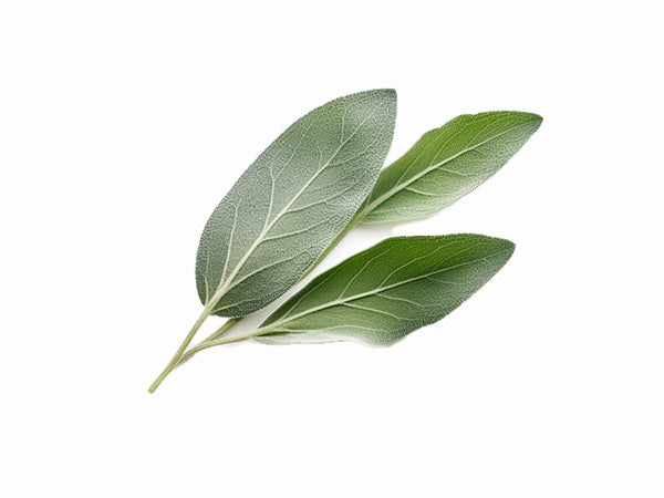 Column background image